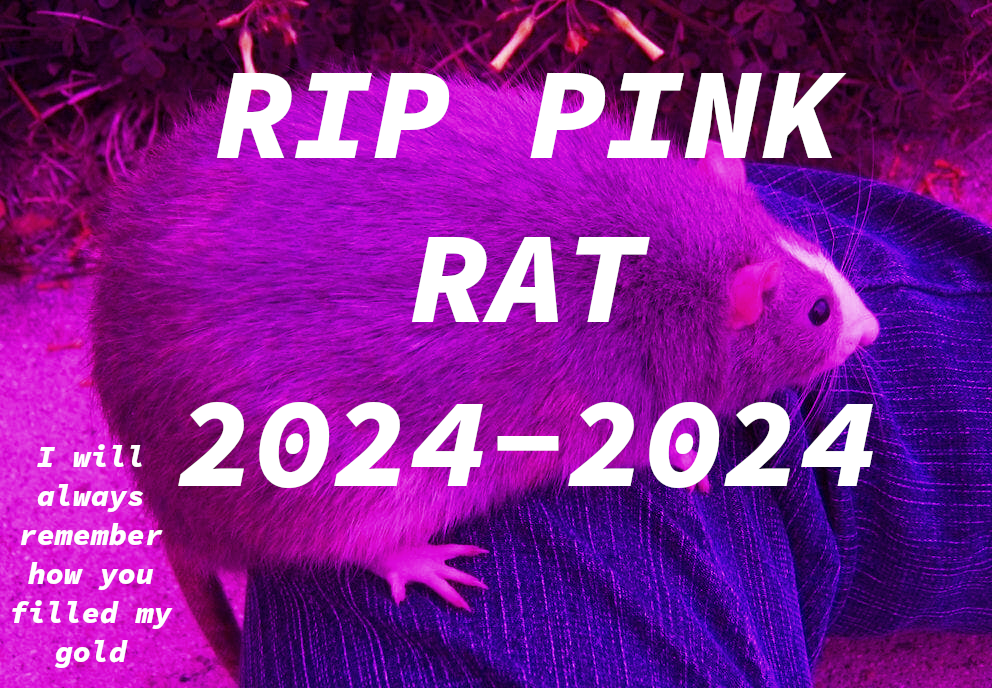 pink-rat-rip.png